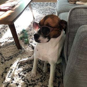 Meet your Posher, Quincy